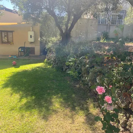 Villa Bluemind Bio Brattiro